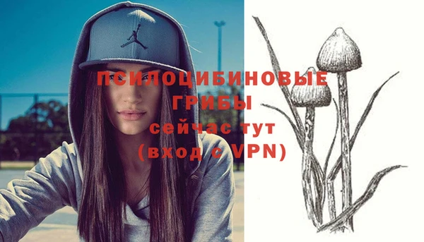 МДМА Рославль